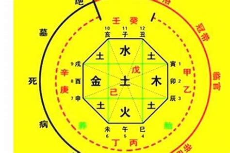 天干地支算命|生辰八字算命、五行喜用神查询（免费测算）